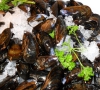 Live MUSSEL